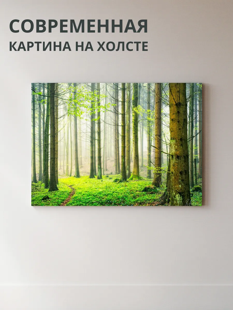 Картина на холсте Лесной пейзаж