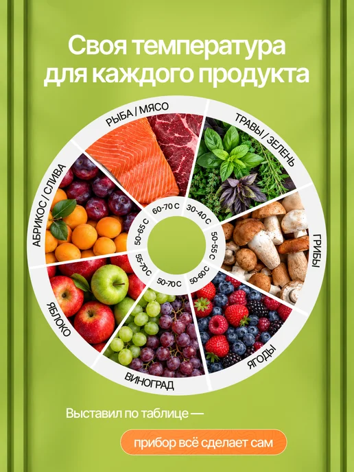 Чудесница Электросушилка для овощей и фруктов 5 уровней, вариант, фото 4
