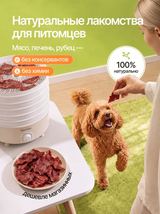 Чудесница Электросушилка для овощей и фруктов 5 уровней, вариант, фото 6