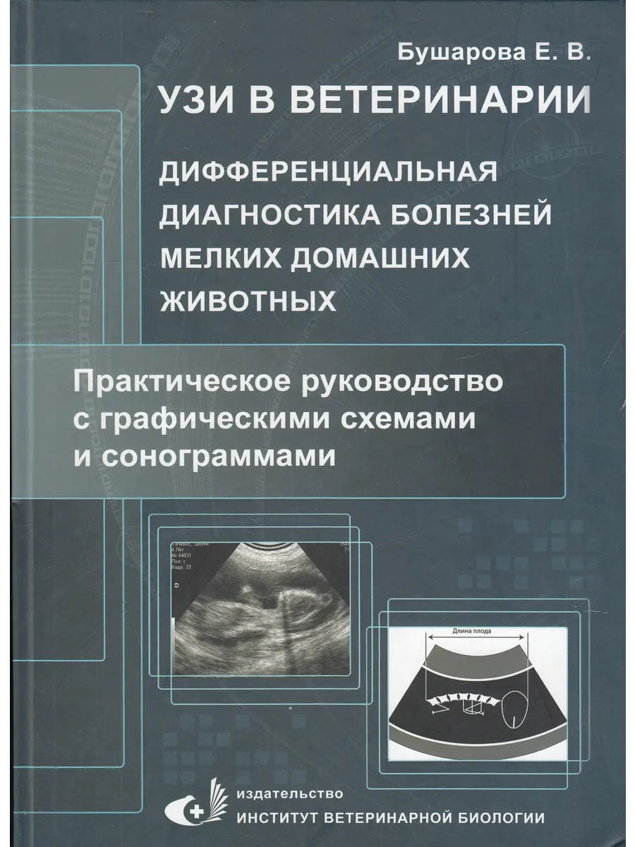 УЗИ в ветеринарии. Диагностика мелких домашних животных