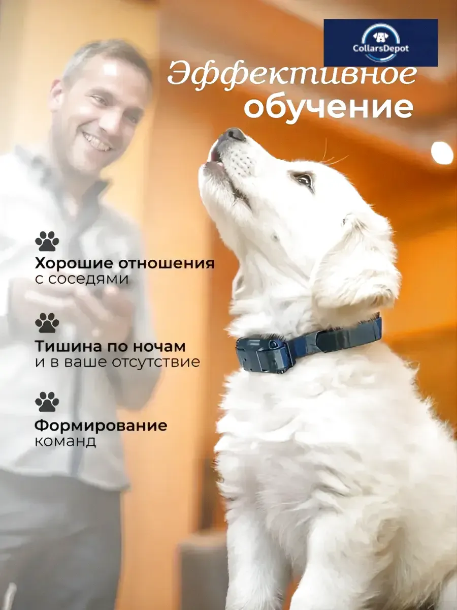 Электронный дрессировочный ошейник для собак