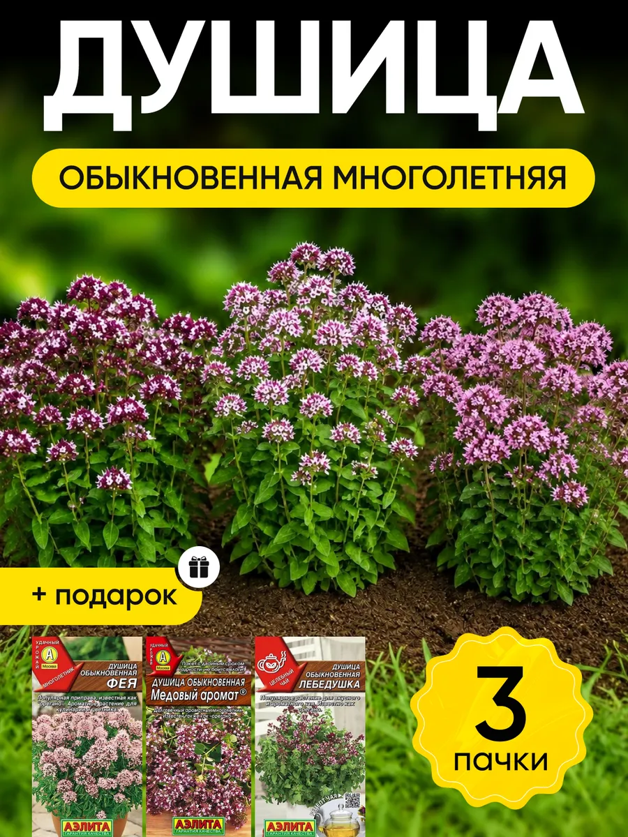 Семена душицы обыкновенной для посадки