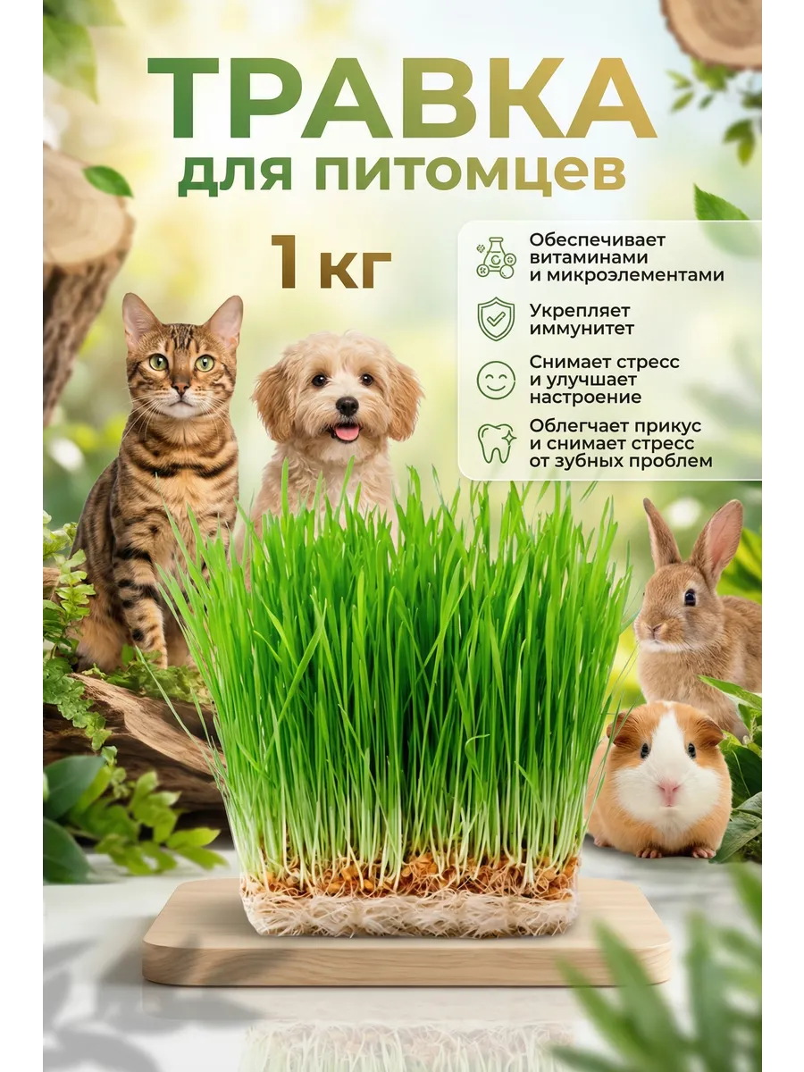 Смесь злаков,травка для питомцев 1кг