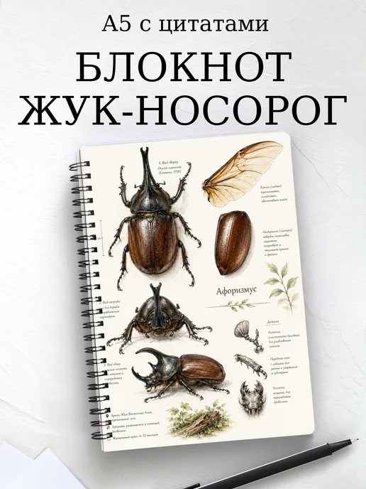 Блокнот Жук-носорог с мотивирующими цитатами