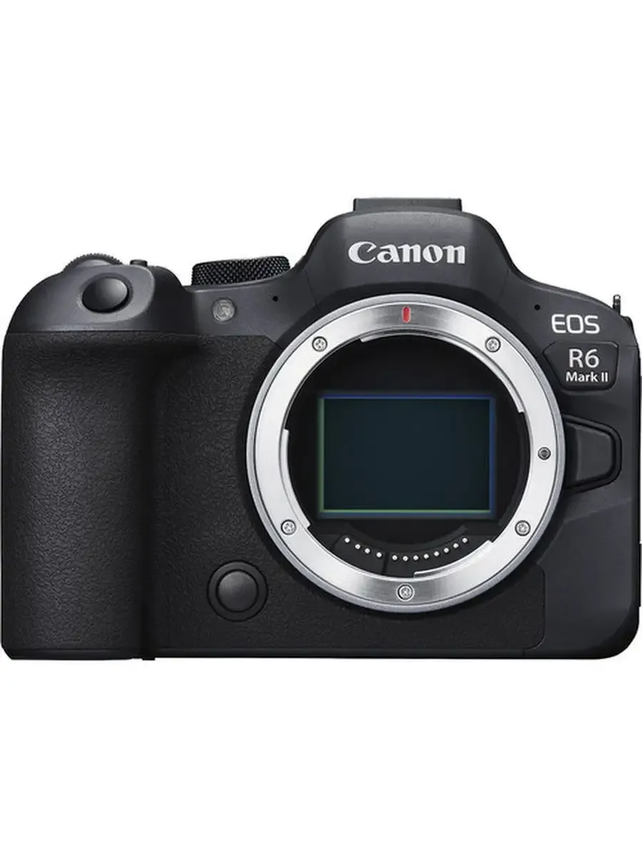 Фотоаппарат профессиональный беззеркальный EOS R6 Mark II