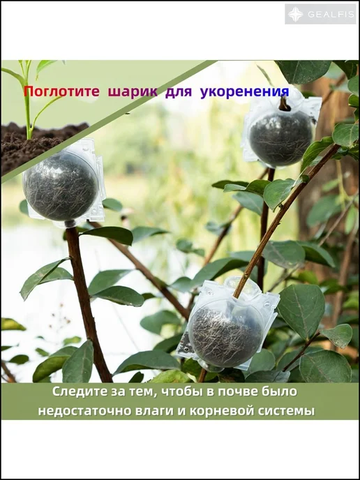 Набор для выращивания, вариант, фото 5