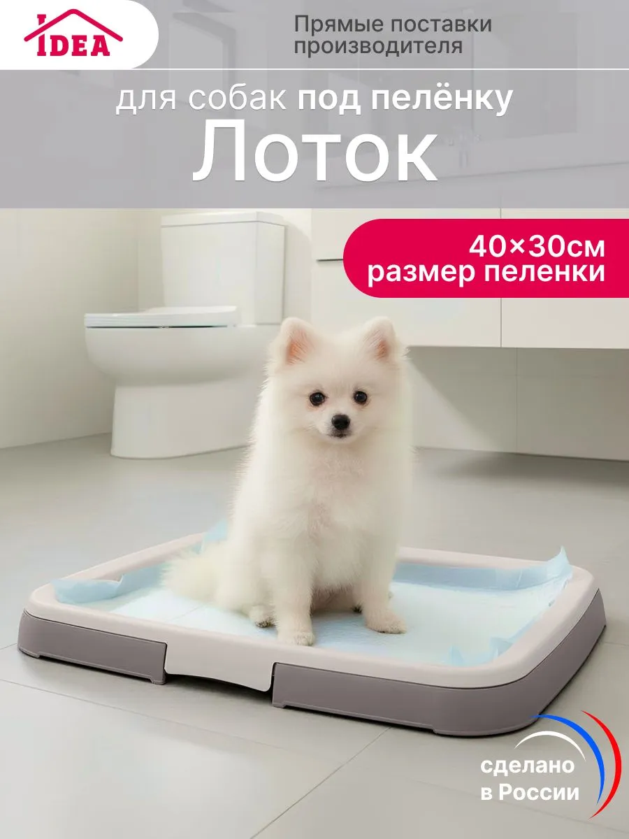 Лоток под пелёнку для собак 45х34 см, туалет-лоток