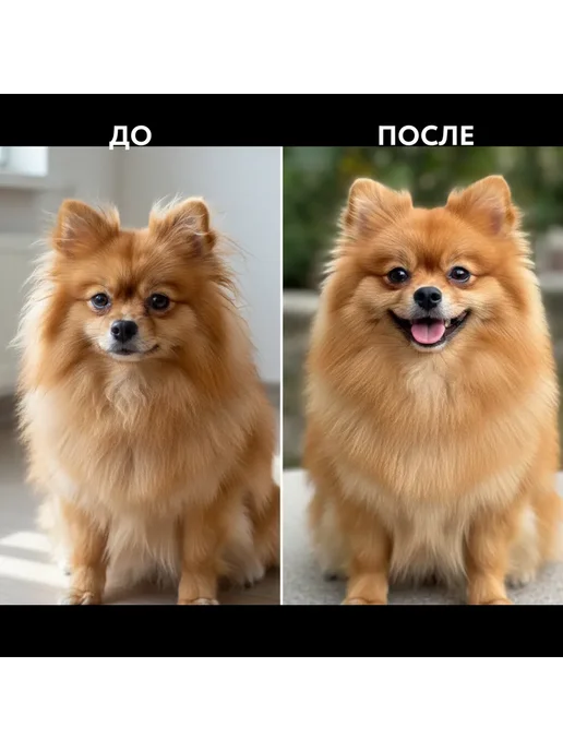 TOSIKI Шампунь для собак 420 мл Тосики 2в1 + Кондиционер, 420 мл, фото 5