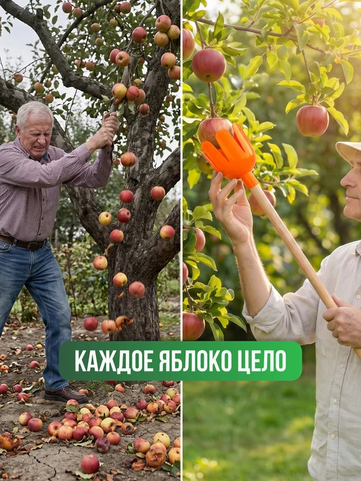 Инструм Aгрo. Плодосборник для яблок, вариант, фото 2