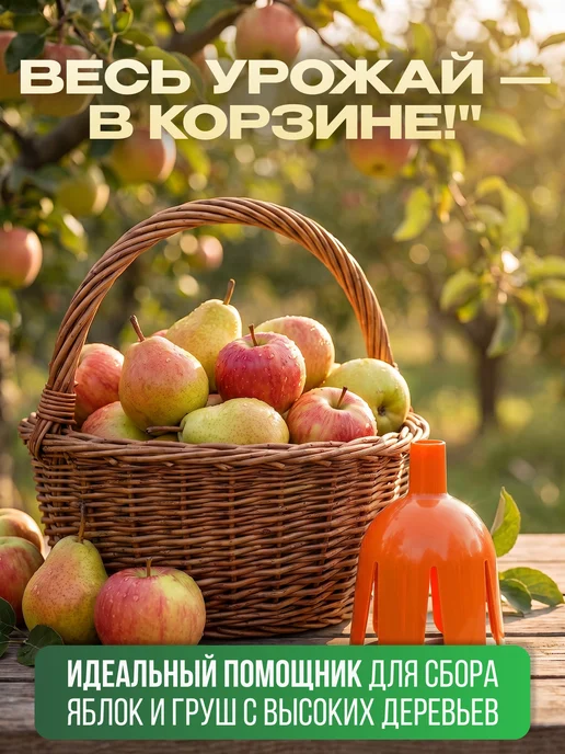 Инструм Aгрo. Плодосборник для яблок, вариант, фото 4