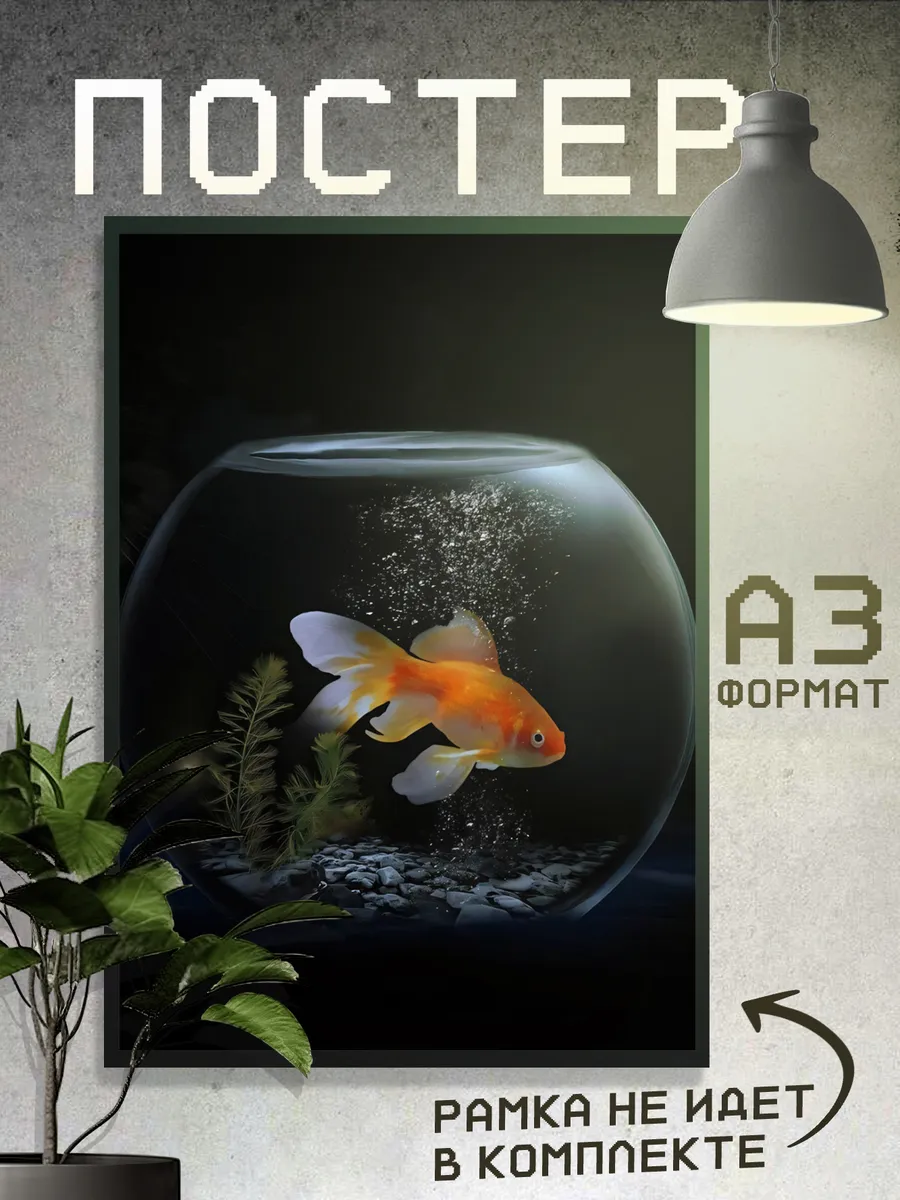 Постер Рыбки