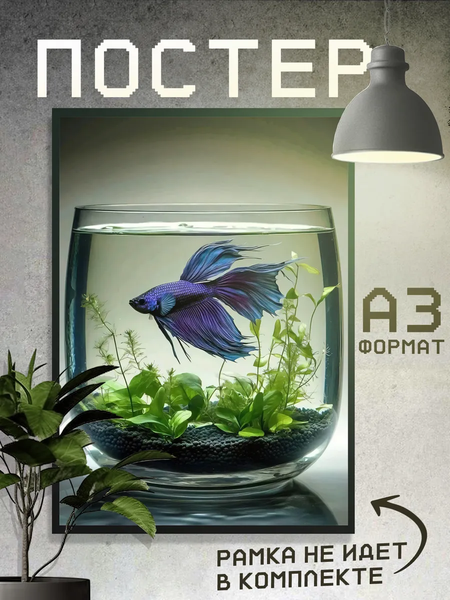 Постер Рыбки