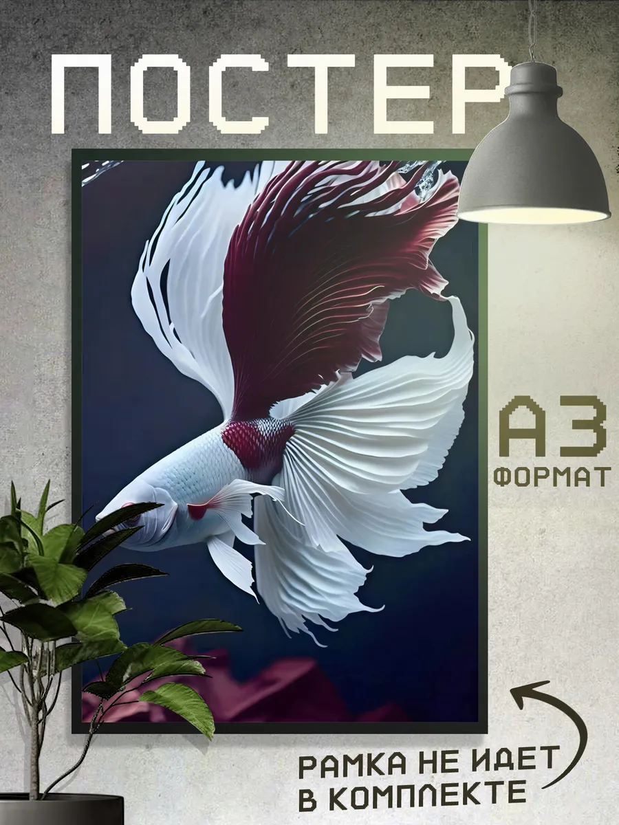 Постер Рыбки