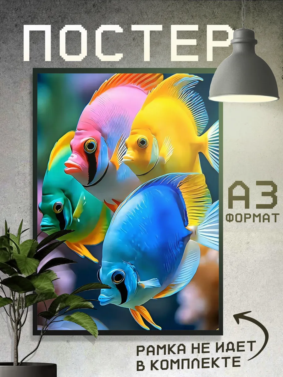 Постер Рыбки