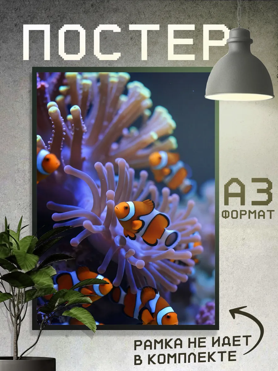 Постер Рыбки