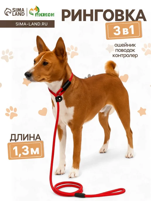 02hn3m6f