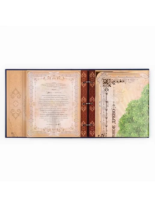 Сималенд Родословная книга, синий, фото 3