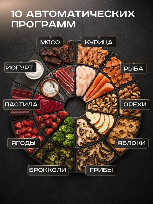 Pioneer Компактная сушилка - дегидратор для овощей и фруктов, 10 л, вариант, фото 3
