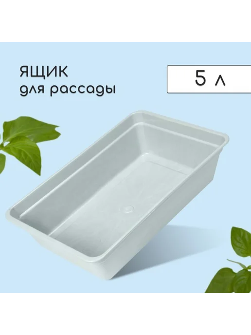 r4f2u8n1
