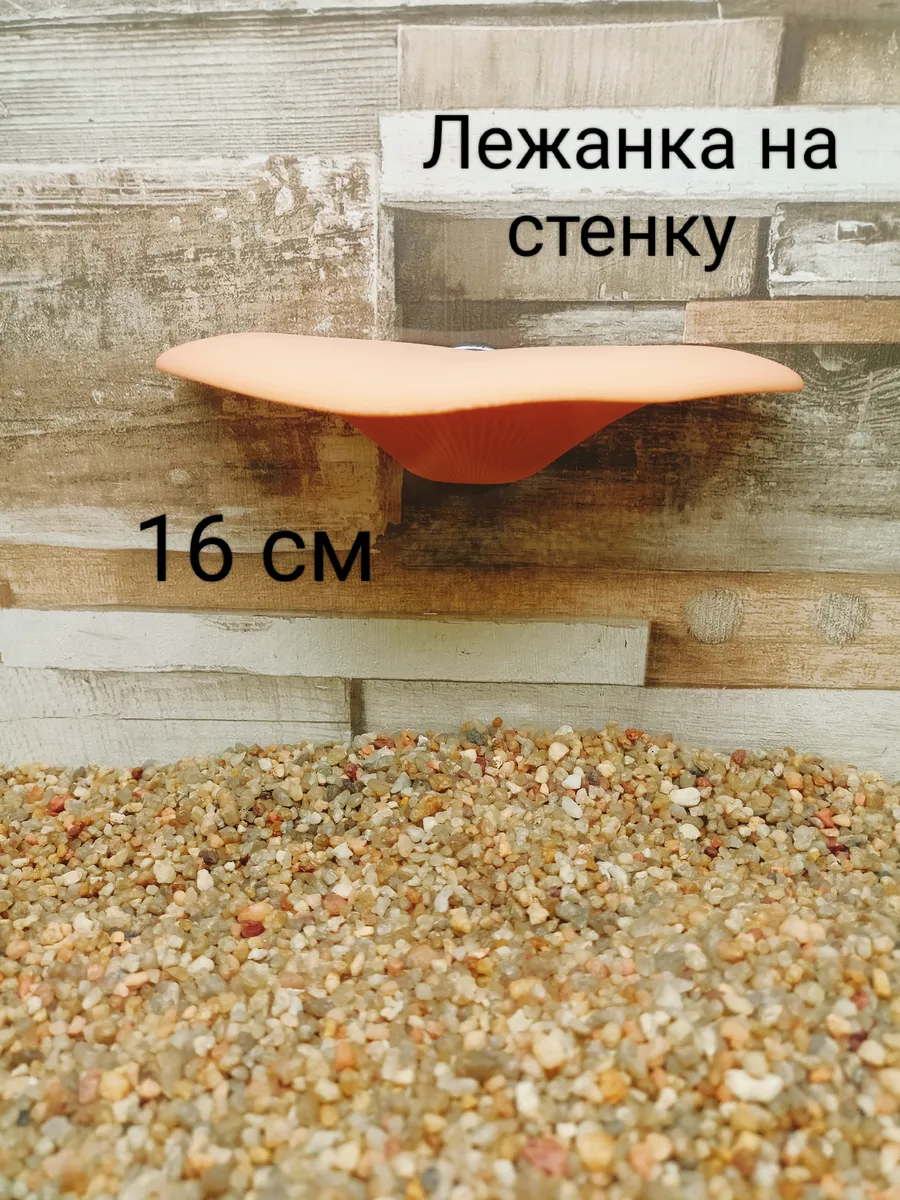 Лежанка декор на стенку аквариума и террариума 1шт