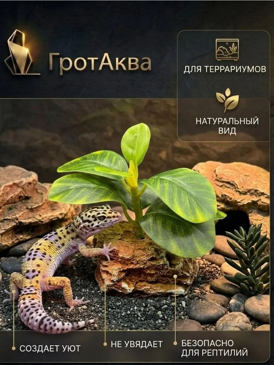 Растение для террариума, аквариума на подставке