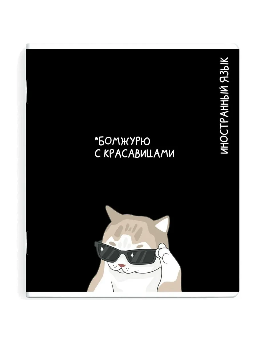 Тетрадь для изучения иностранных языков "Коты Мэмы"