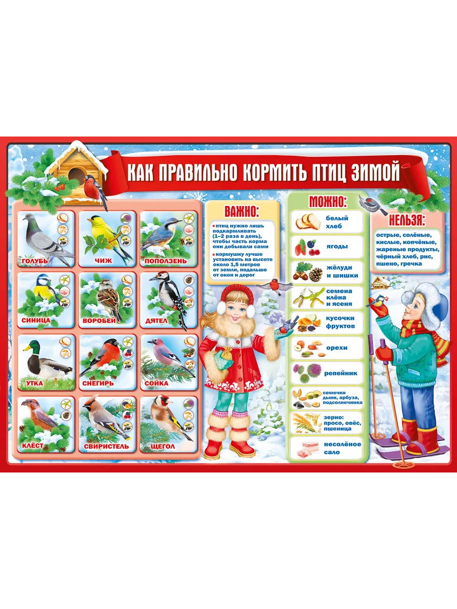 Плакат А2 Как правильно кормить птиц зимой