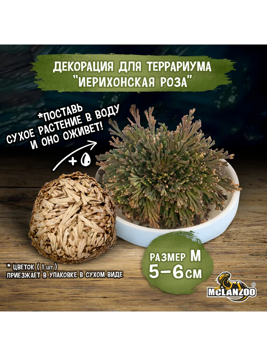 Декорация для аквариума/террариума