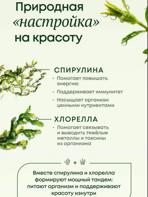 «Гринбленд» напиток для молодости и красоты, вариант, фото 7