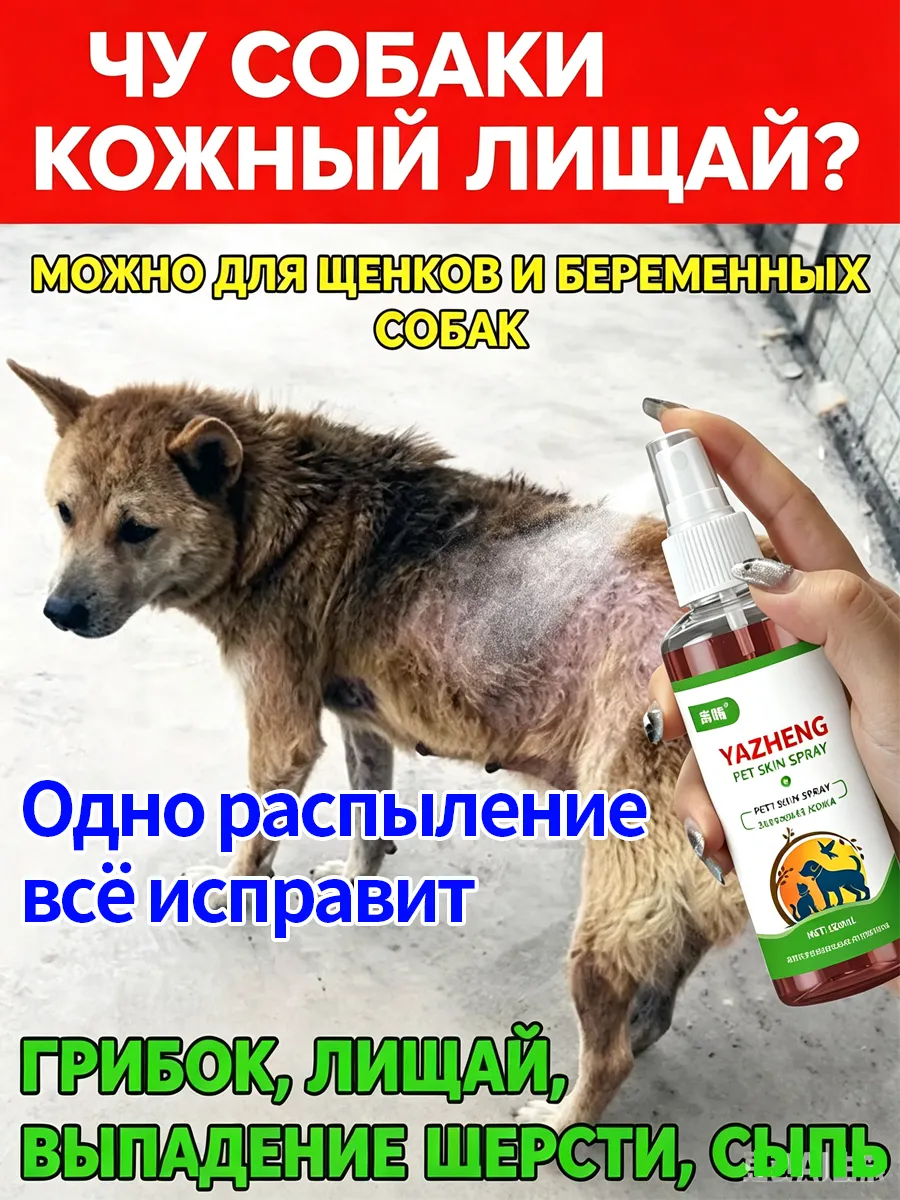Грибковый лишай у собак