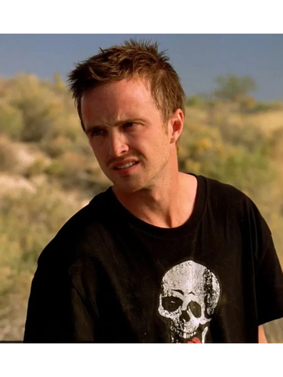 jesse pinkman in breaking bad net worth - Ilustrasi 2