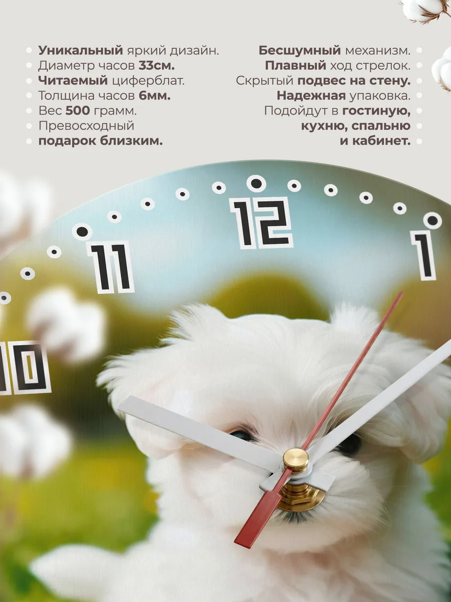 Часы настенные "Мальтийская болонка" — фото 11