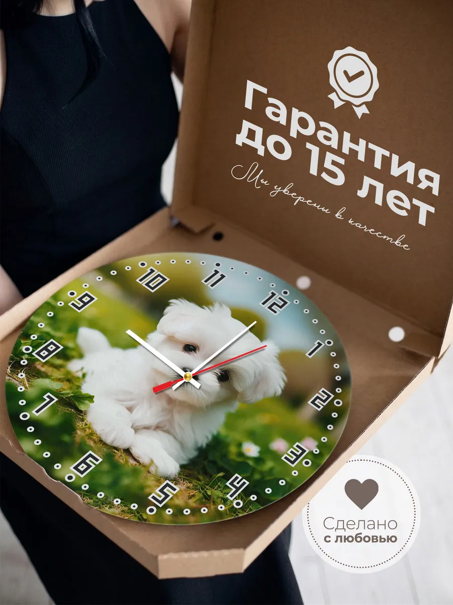 Часы настенные "Мальтийская болонка" — фото 3