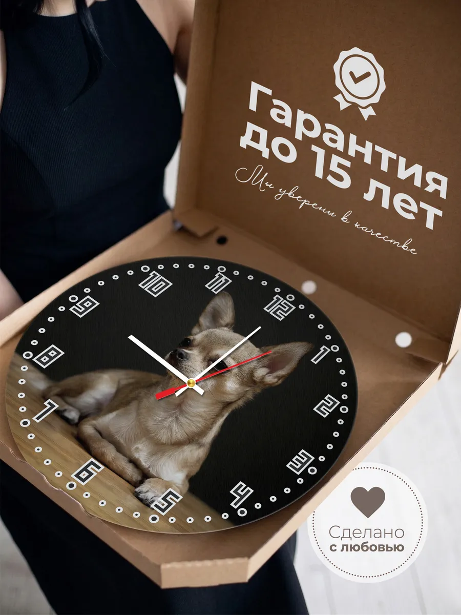 Часы настенные "порода чихуахуа" — фото 3