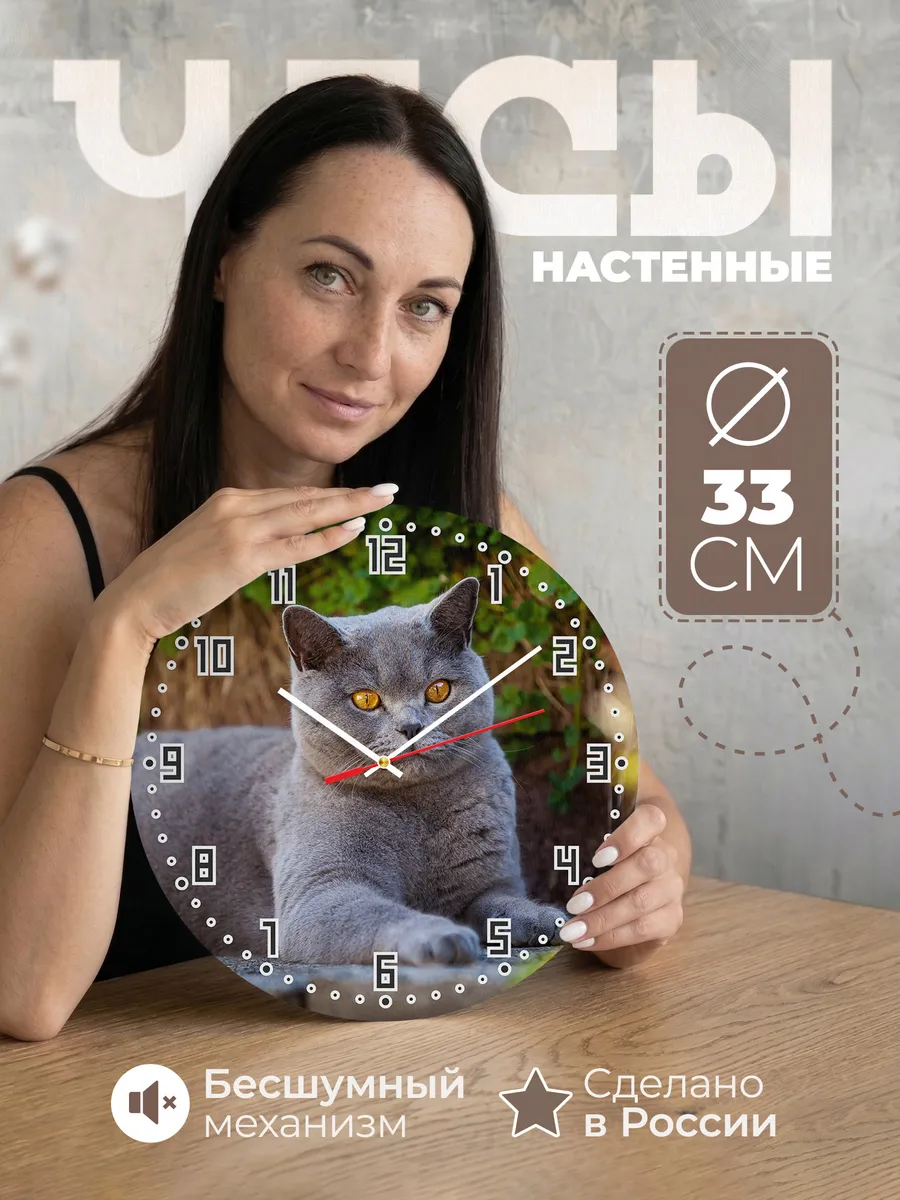 Часы настенные "кошка британская кроткошерстная"