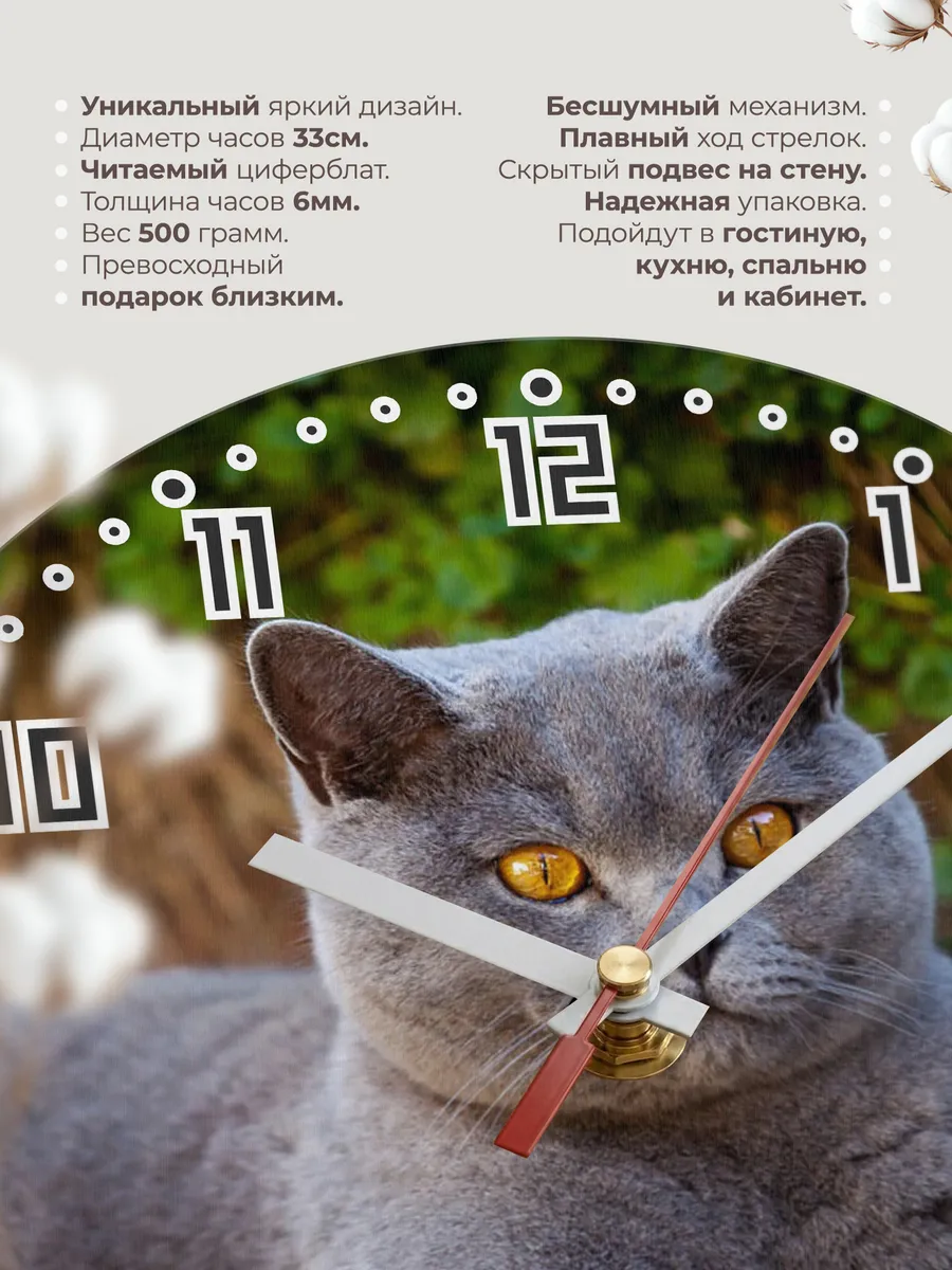 Часы настенные "кошка британская кроткошерстная" — фото 11