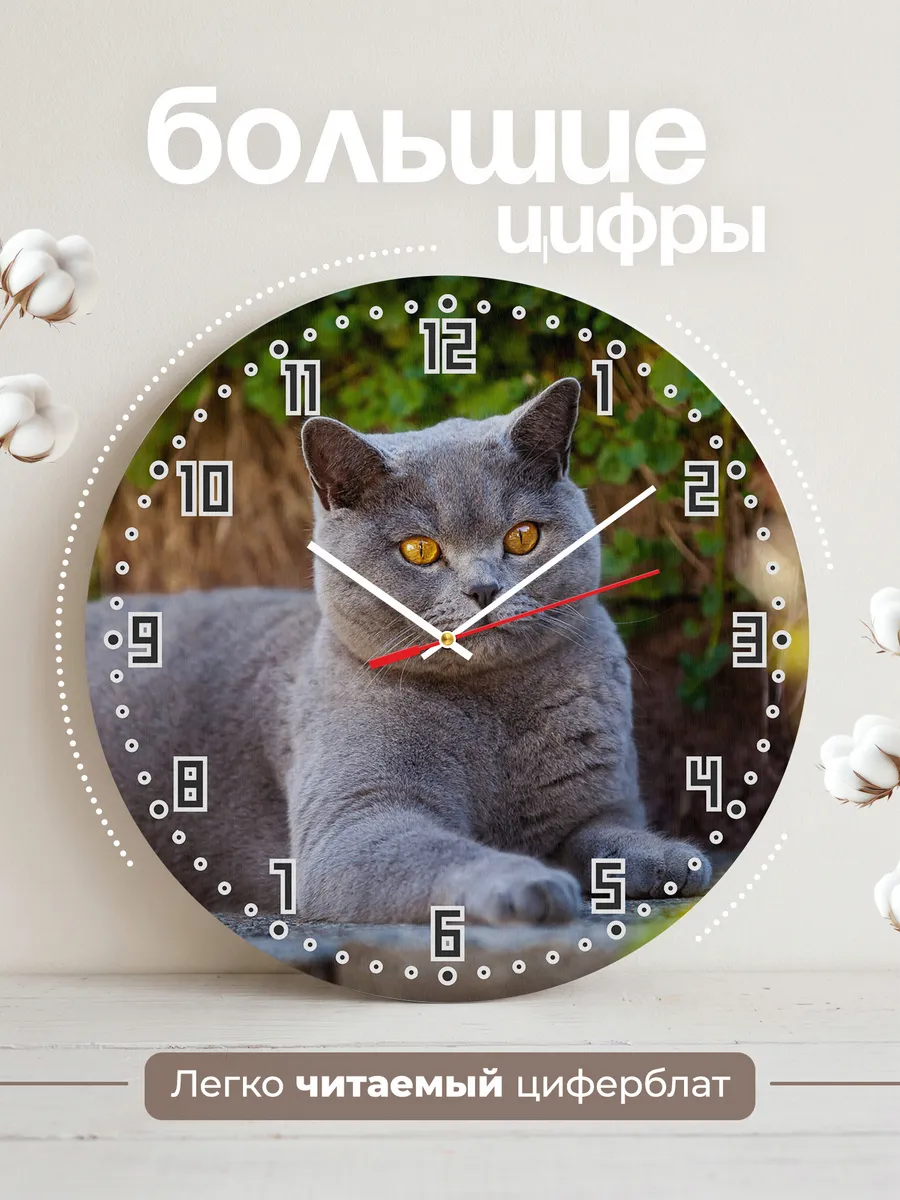 Часы настенные "кошка британская кроткошерстная" — фото 2