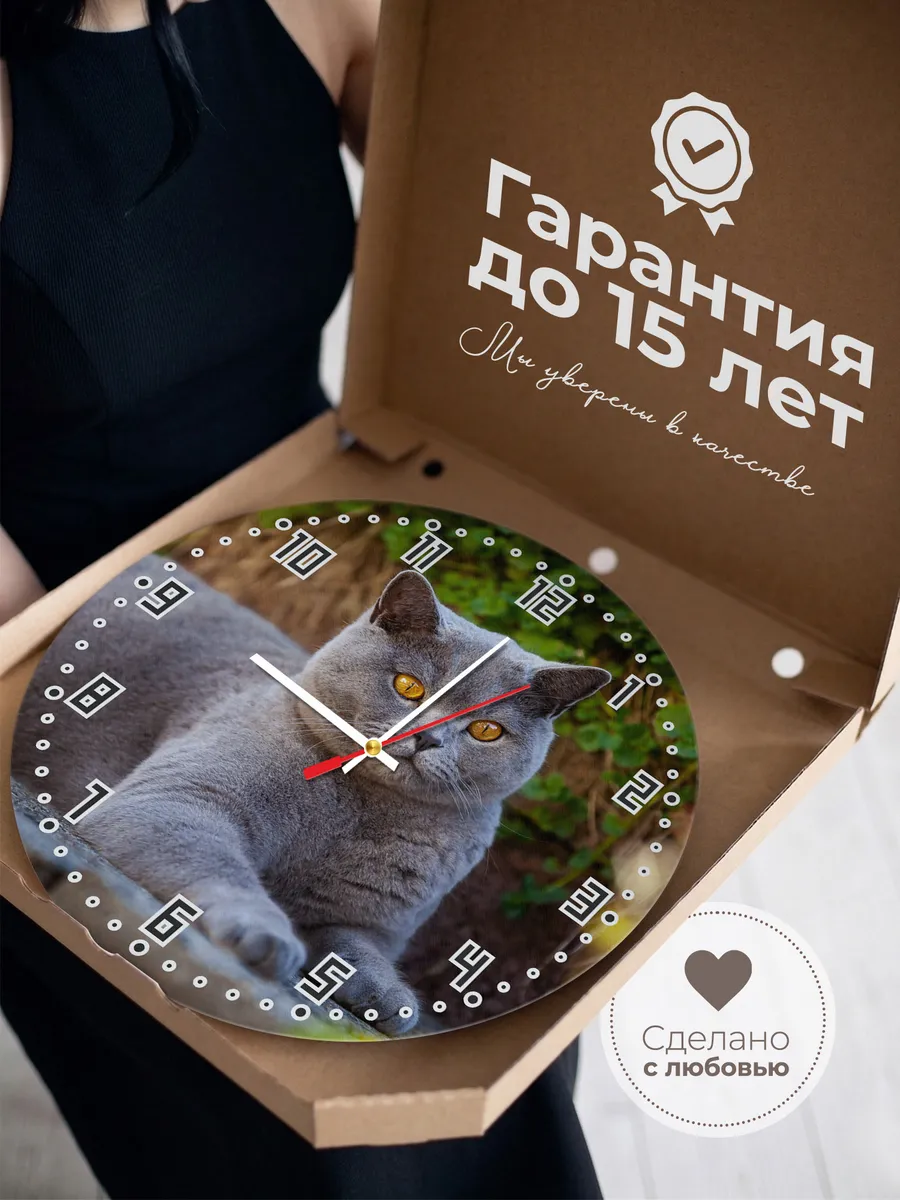 Часы настенные "кошка британская кроткошерстная" — фото 3