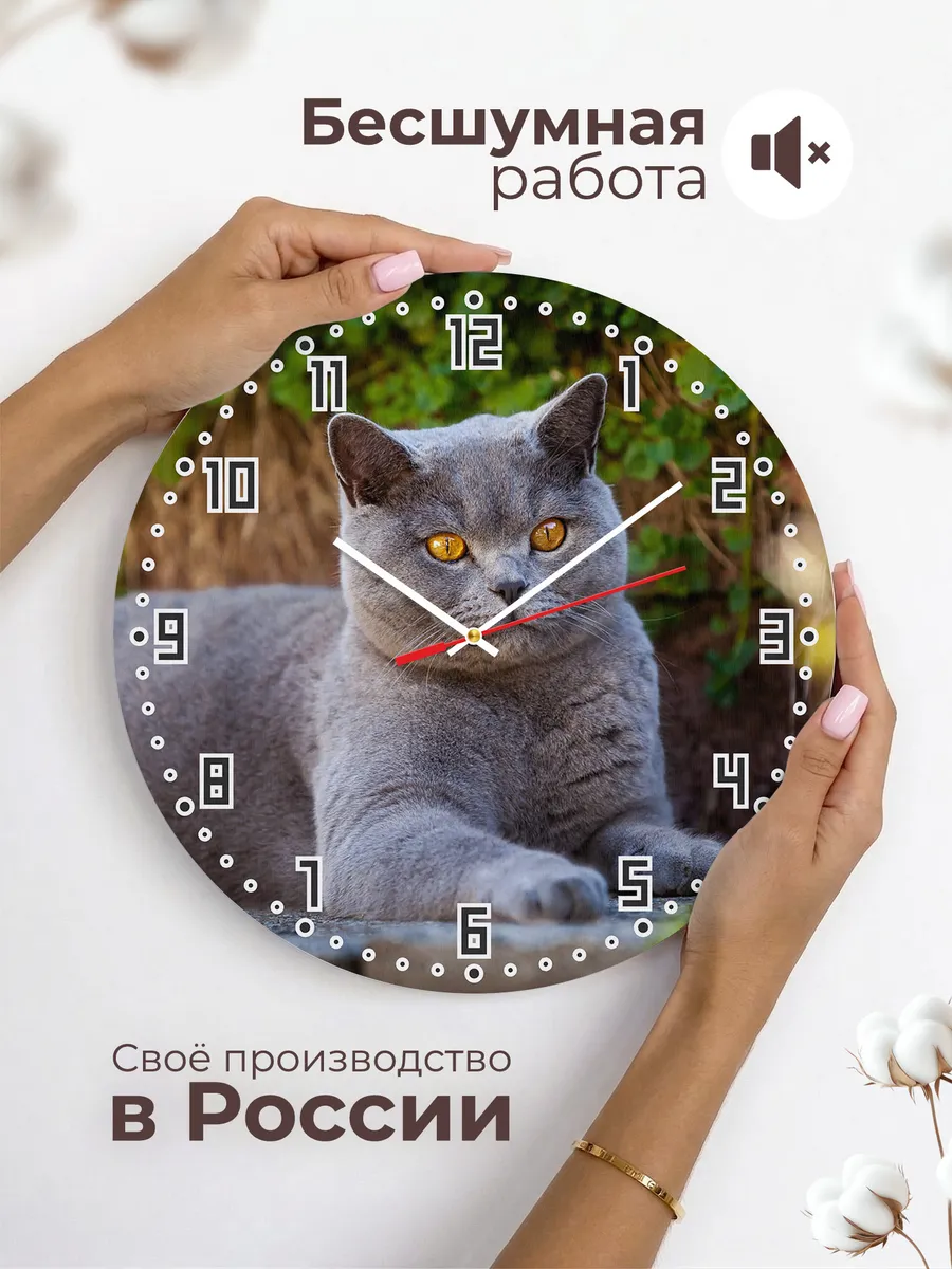 Часы настенные "кошка британская кроткошерстная" — фото 6