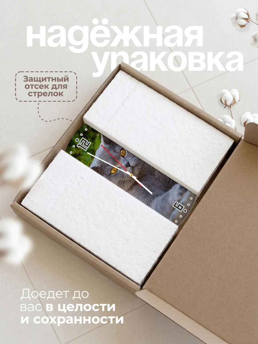 Часы настенные "кошка британская кроткошерстная" — фото 9