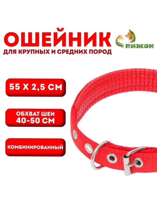 5e01akt6