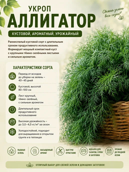 Аэлита Агрофирма Семена укроп Аллигатор кустовой на зелень, 2 пакета, зеленый, фото 2
