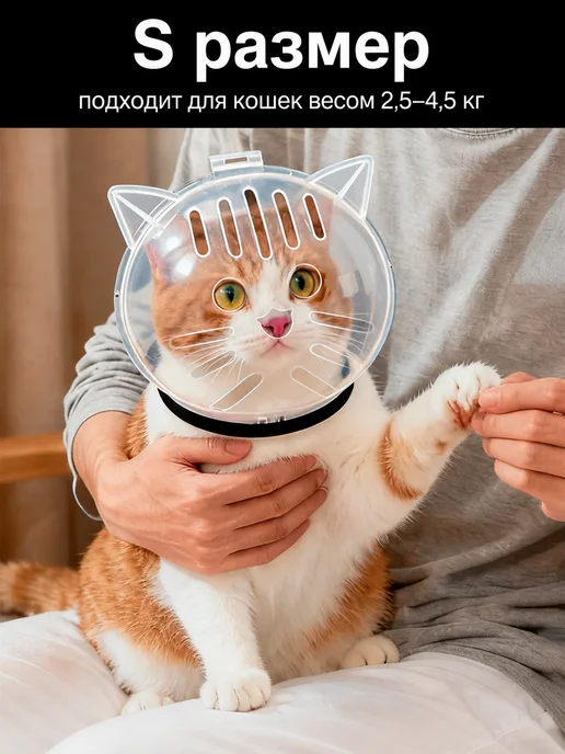 Прозрачный намордник-шлем для котят L, S