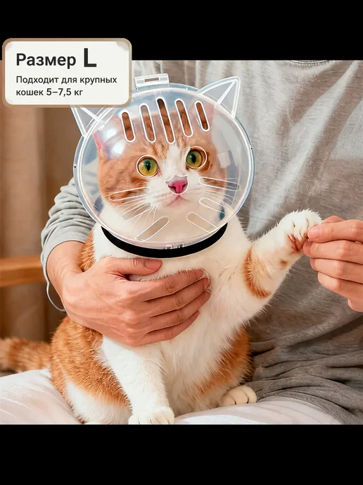 Прозрачный намордник-шлем для котят L, L