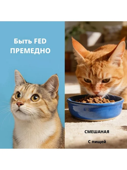 Таурин для кошек порошок для поддержки сердца и зрения 200, вариант, фото 6