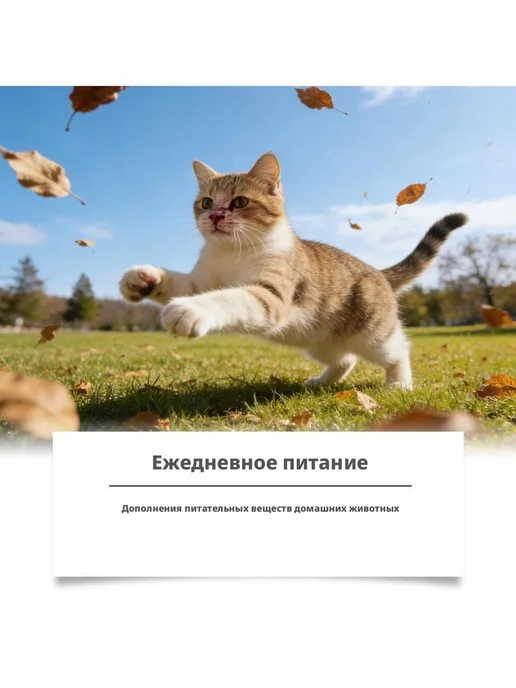Таурин для кошек порошок для поддержки сердца и зрения 200, вариант, фото 8