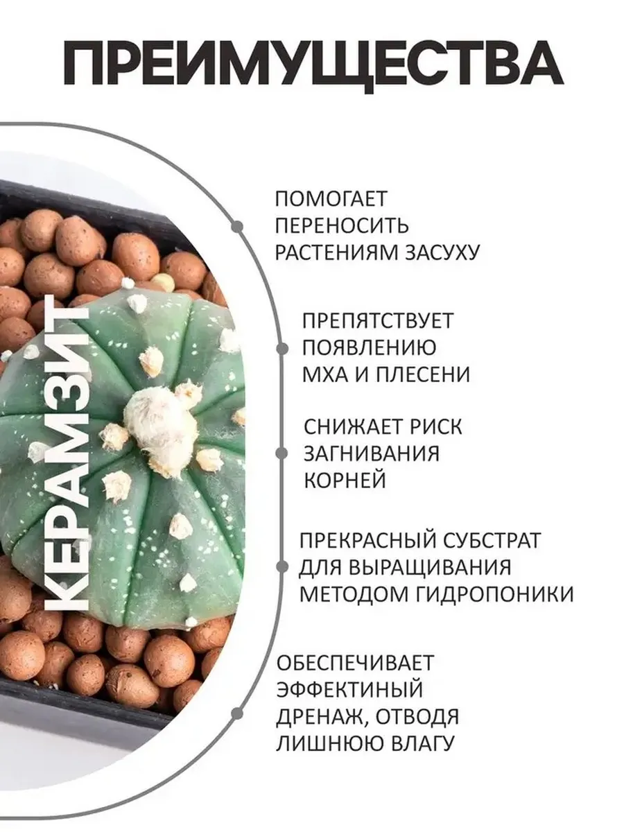 Натуральный дренаж для растений и почвы