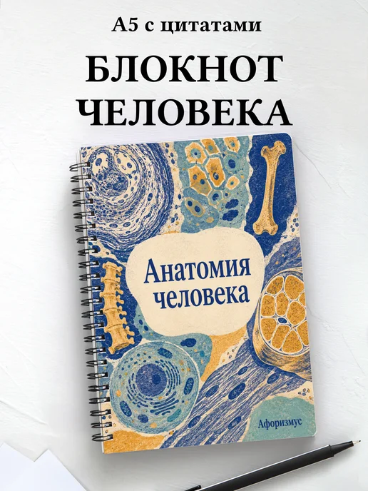 Тетрадь Анатомия человека с мотивирующими цитатами