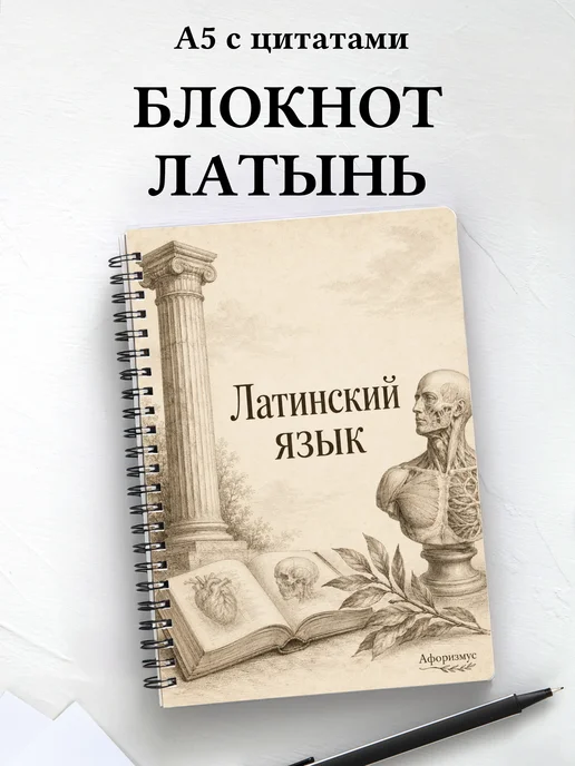Блокнот Латинский язык с мотивирующими цитатами