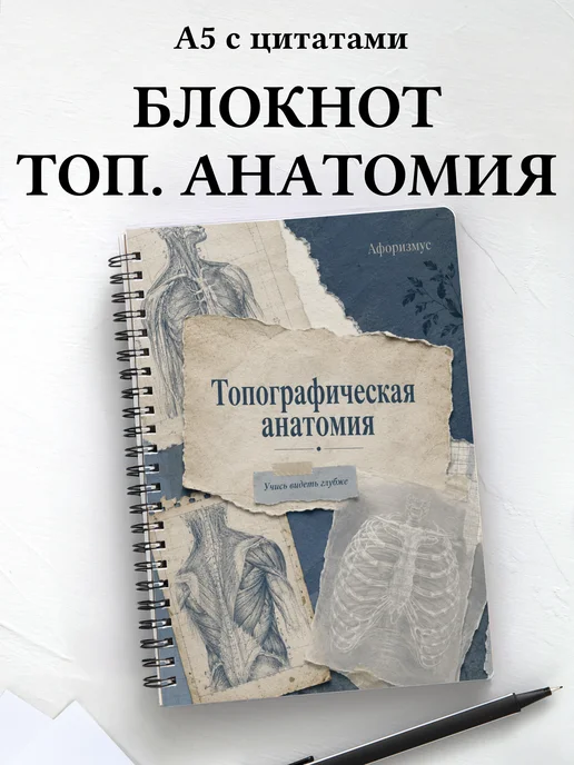 Тетрадь Анатомия с мотивирующими цитатами